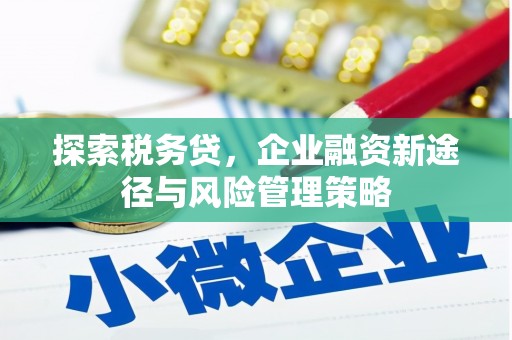巩留探索税务贷，企业融资新途径与风险管理策略