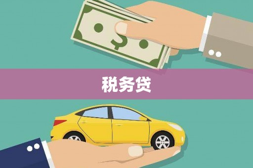 巩留税务贷