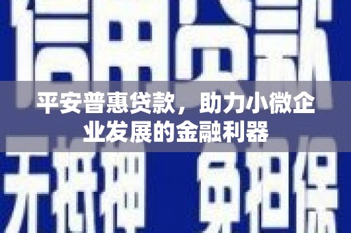 巩留平安普惠贷款，助力小微企业发展的金融利器