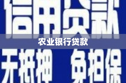 巩留农业银行贷款