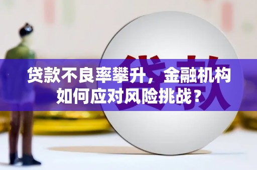 巩留贷款不良率攀升，金融机构如何应对风险挑战？