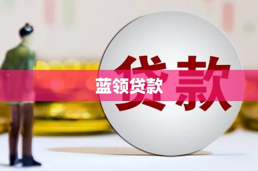 巩留蓝领贷款