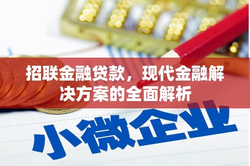 巩留招联金融贷款，现代金融解决方案的全面解析