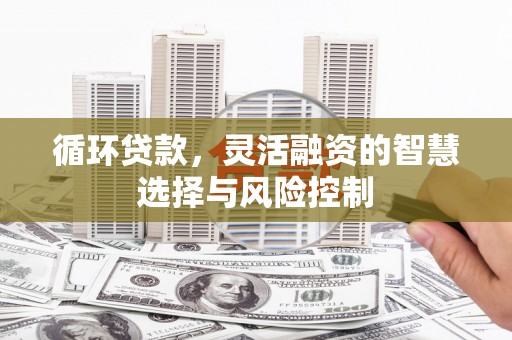 巩留循环贷款，灵活融资的智慧选择与风险控制