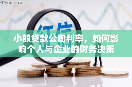 巩留小额贷款公司利率，如何影响个人与企业的财务决策