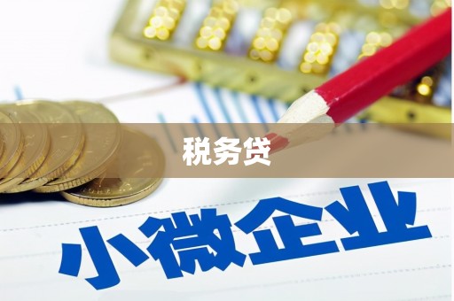 巩留税务贷