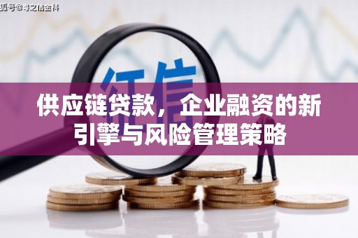 巩留供应链贷款，企业融资的新引擎与风险管理策略