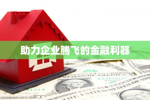 巩留助力企业腾飞的金融利器