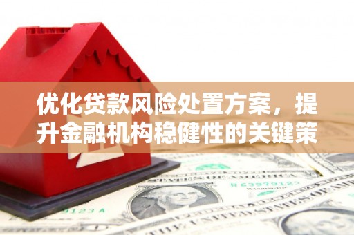 巩留优化贷款风险处置方案，提升金融机构稳健性的关键策略