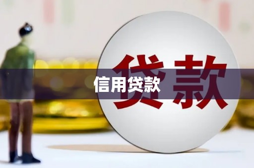 巩留信用贷款