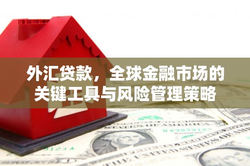 巩留外汇贷款，全球金融市场的关键工具与风险管理策略