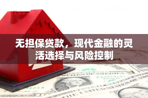 巩留无担保贷款，现代金融的灵活选择与风险控制