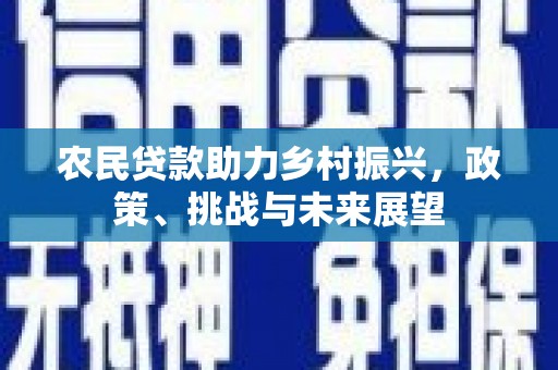 巩留农民贷款助力乡村振兴，政策、挑战与未来展望