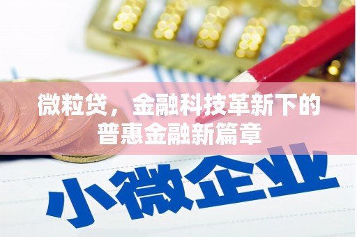 巩留微粒贷，金融科技革新下的普惠金融新篇章