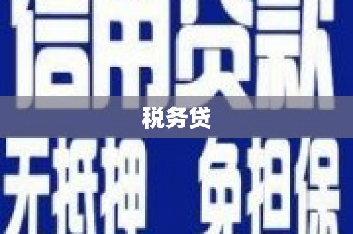 巩留税务贷