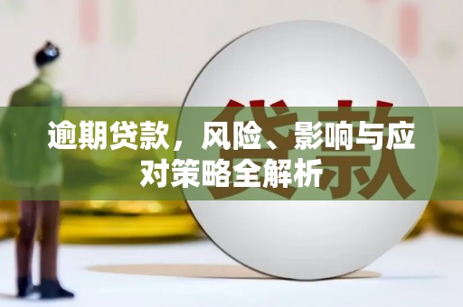 巩留逾期贷款，风险、影响与应对策略全解析