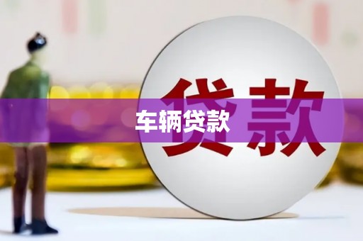 巩留车辆贷款