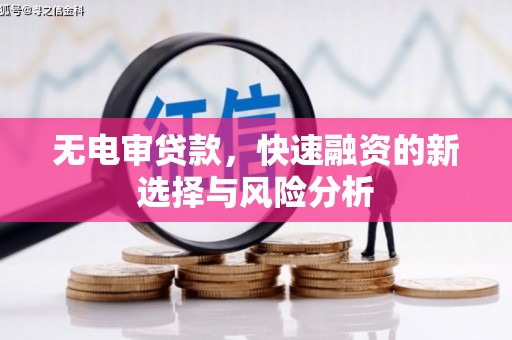 巩留无电审贷款，快速融资的新选择与风险分析