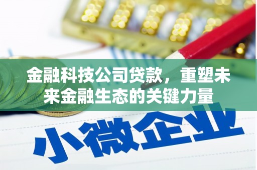 巩留金融科技公司贷款，重塑未来金融生态的关键力量