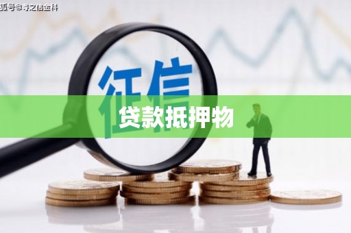 巩留贷款抵押物