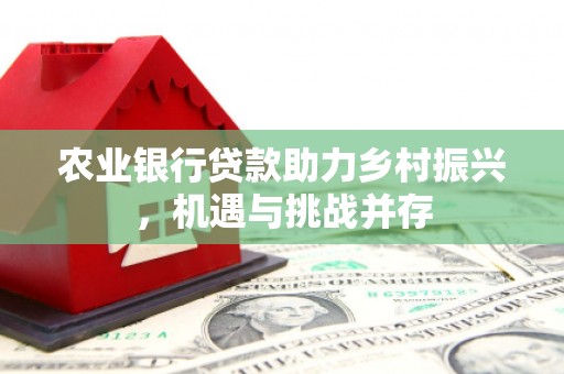 巩留农业银行贷款助力乡村振兴，机遇与挑战并存