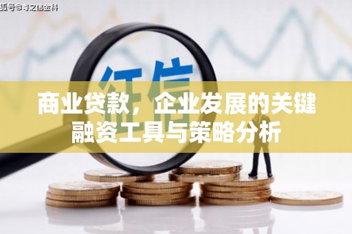 巩留商业贷款，企业发展的关键融资工具与策略分析