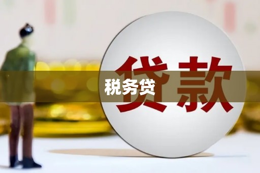 巩留税务贷