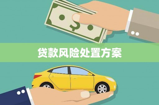巩留贷款风险处置方案