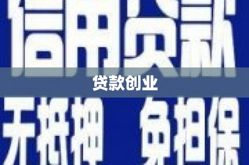 巩留贷款创业