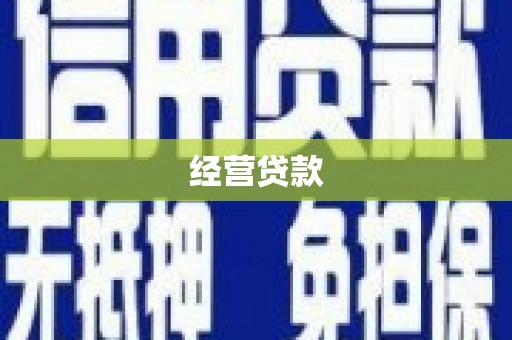 巩留经营贷款