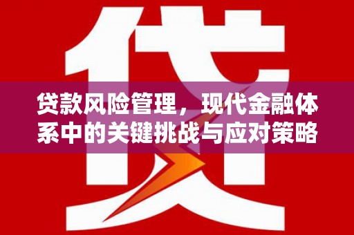 巩留贷款风险管理，现代金融体系中的关键挑战与应对策略