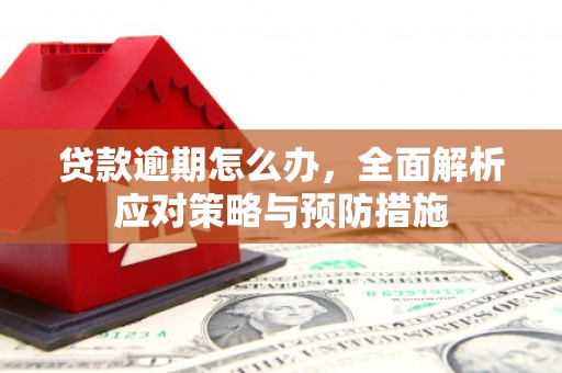 巩留贷款逾期怎么办，全面解析应对策略与预防措施