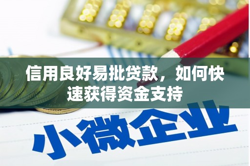 巩留信用良好易批贷款，如何快速获得资金支持