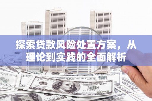 巩留探索贷款风险处置方案，从理论到实践的全面解析