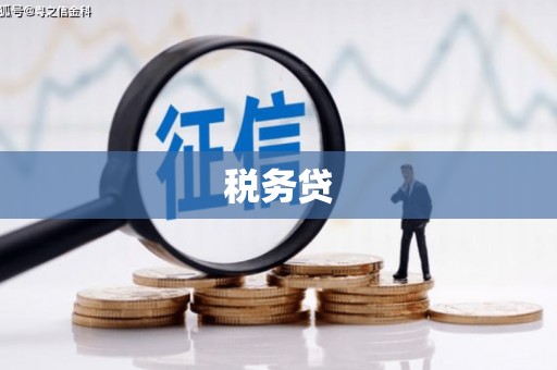 巩留税务贷