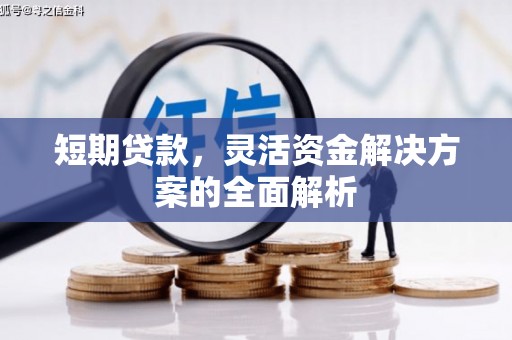 巩留短期贷款，灵活资金解决方案的全面解析