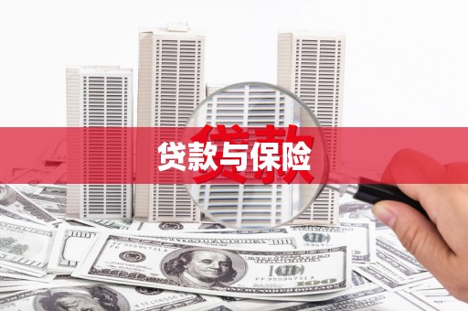巩留贷款与保险
