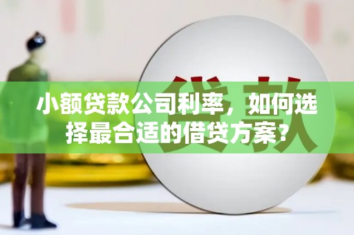 巩留小额贷款公司利率，如何选择最合适的借贷方案？