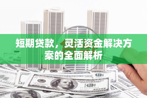 巩留短期贷款，灵活资金解决方案的全面解析