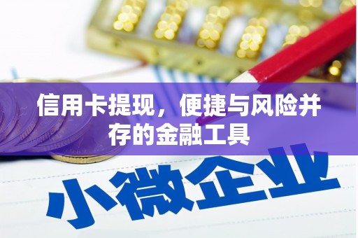 巩留信用卡提现，便捷与风险并存的金融工具