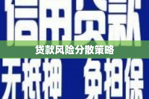 巩留贷款风险分散策略