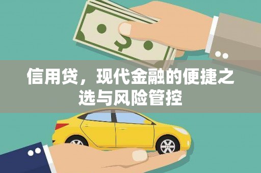 巩留信用贷，现代金融的便捷之选与风险管控