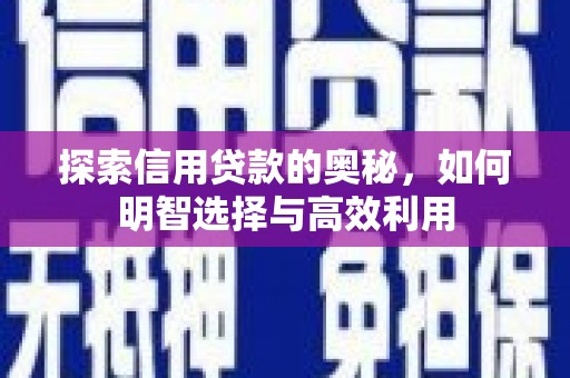 巩留探索信用贷款的奥秘，如何明智选择与高效利用