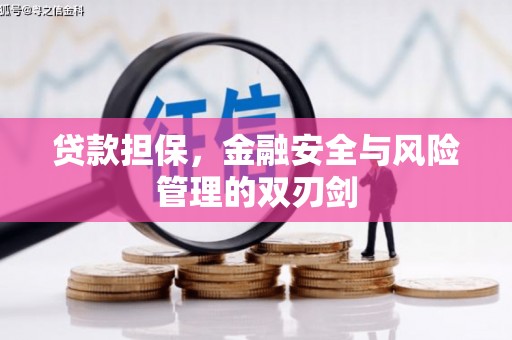 巩留贷款担保，金融安全与风险管理的双刃剑