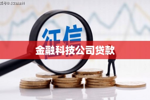 巩留金融科技公司贷款