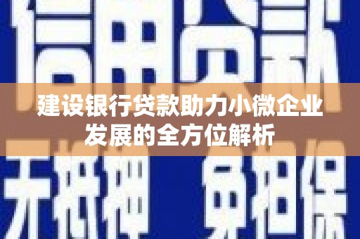 巩留建设银行贷款助力小微企业发展的全方位解析