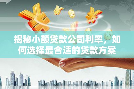 巩留揭秘小额贷款公司利率，如何选择最合适的贷款方案