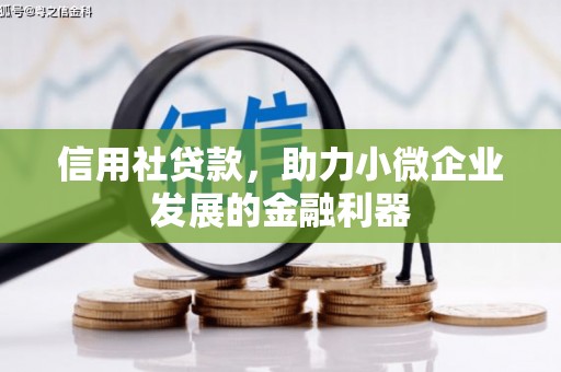 巩留信用社贷款，助力小微企业发展的金融利器