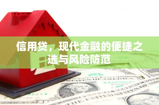 巩留信用贷，现代金融的便捷之选与风险防范