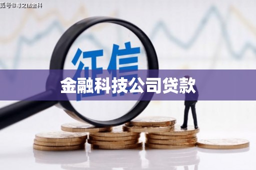 巩留金融科技公司贷款